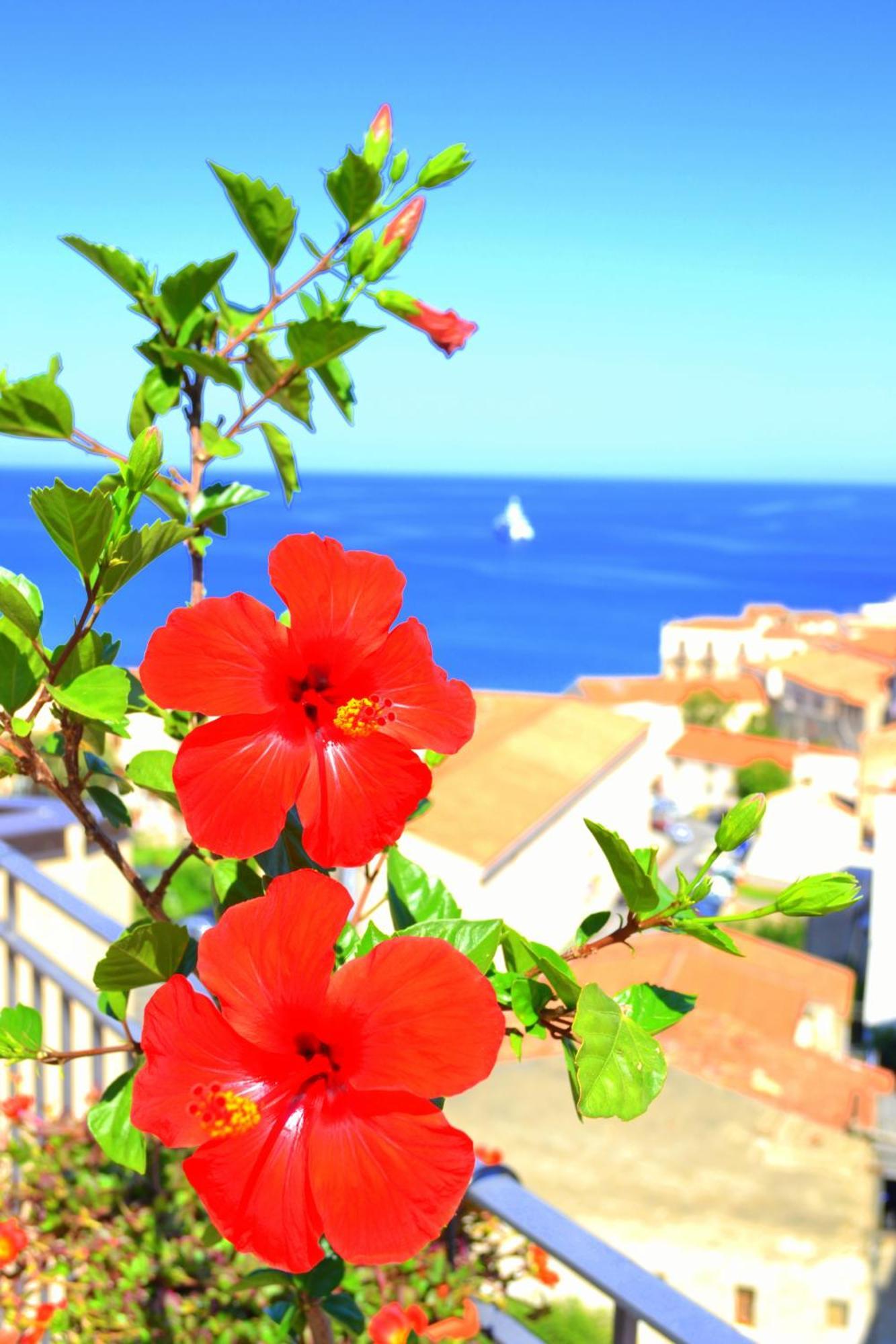 Bed and Breakfast Scirocco à Cefalù Extérieur photo